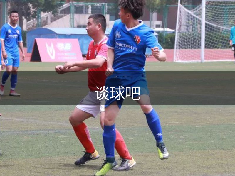 公司未来蓝图